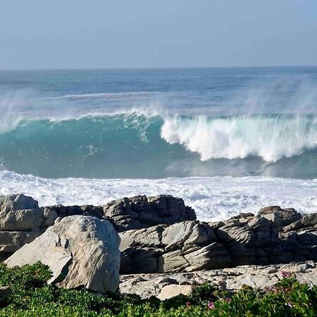 Whales & Waves Villa Hermanus Exterior photo